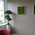 Pollen Créations - Le partenaire végétal de votre entreprise