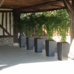 Pollen Créations - Le partenaire végétal de votre entreprise