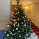 Pollen Créations - Le partenaire végétal de votre entreprise