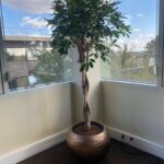 Pollen Créations - Le partenaire végétal de votre entreprise