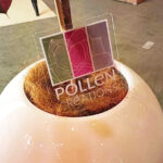 Pollen Créations - Le partenaire végétal de votre entreprise