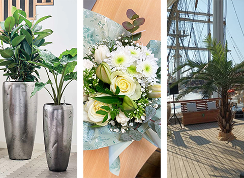 Pollen Créations - Le partenaire végétal de votre entreprise